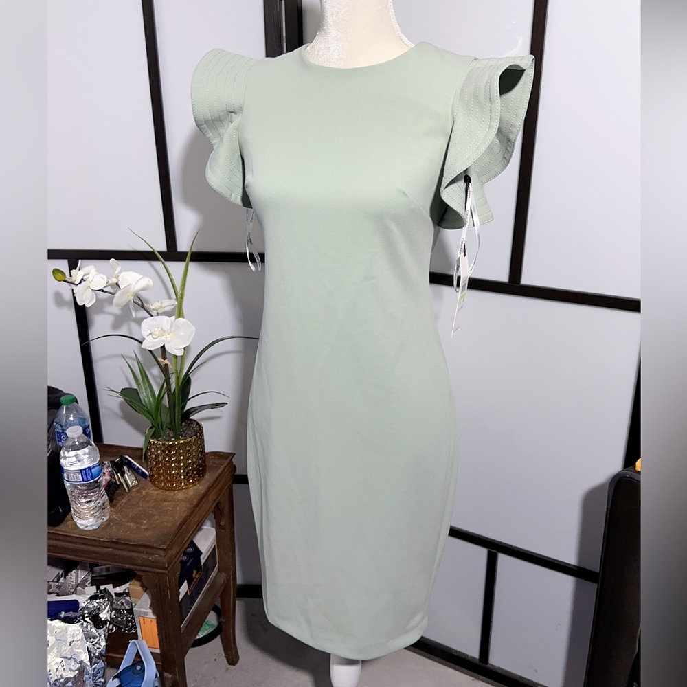 Calvin Klein trumpet sleeve light green dress NWT